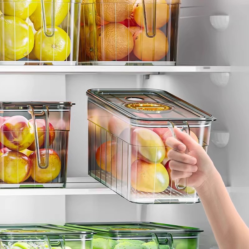 Food Storage Ideas - Kotak penyimpanan kulkas, telur, buah dan