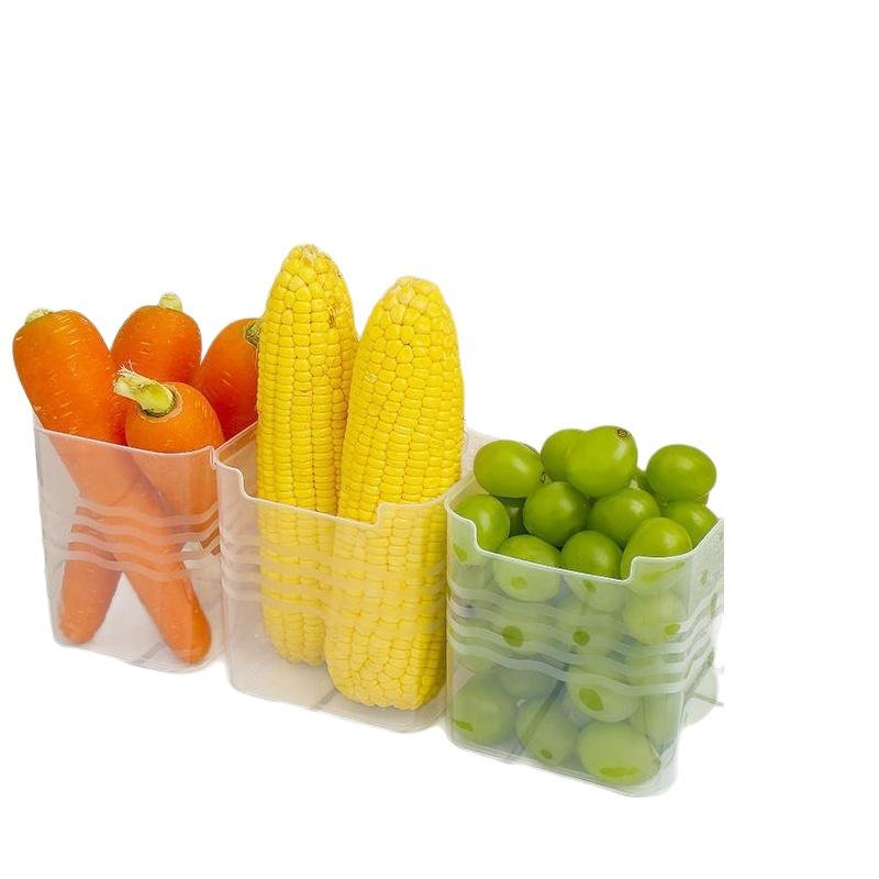 # Kotak Penyimpanan Makanan Ku - Food Storage Box ulasan dan harga