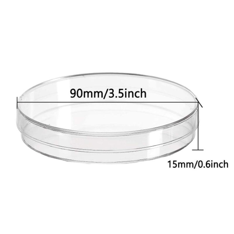 5-10pcs Petri plastik piring 3 - Food Storage Ideas ulasan dan harga