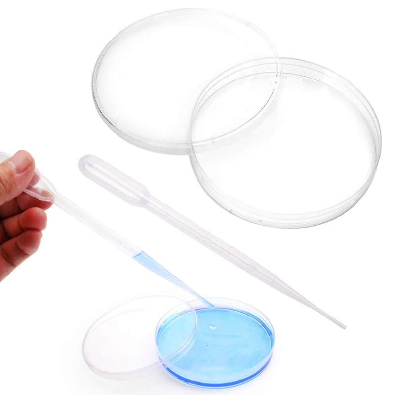 5-10pcs Petri plastik piring 3 - Food Storage Ideas ulasan dan harga