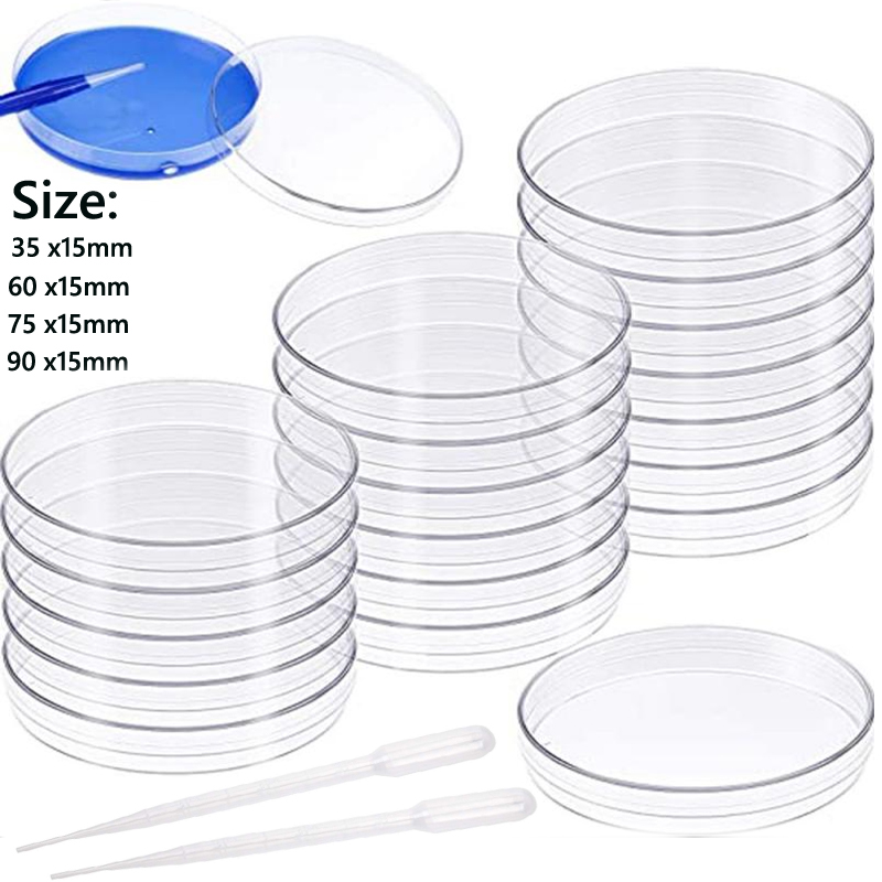 5-10pcs Petri plastik piring 3 - Food Storage Ideas ulasan dan harga