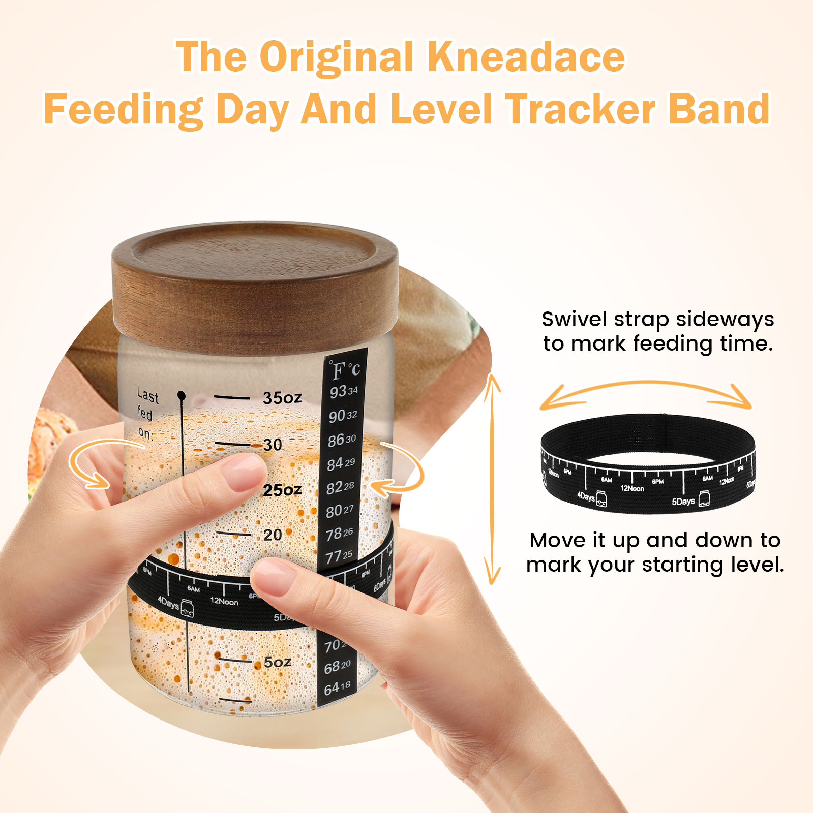 Sourdough toples pemula 1000ml - Food Storage Tank ulasan dan harga